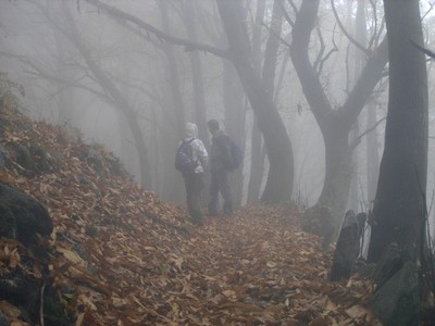 Herbststimmung am Lago Maggiore